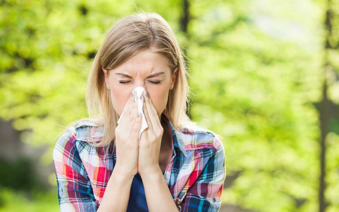 Allergia all’olivo: come comportarsi