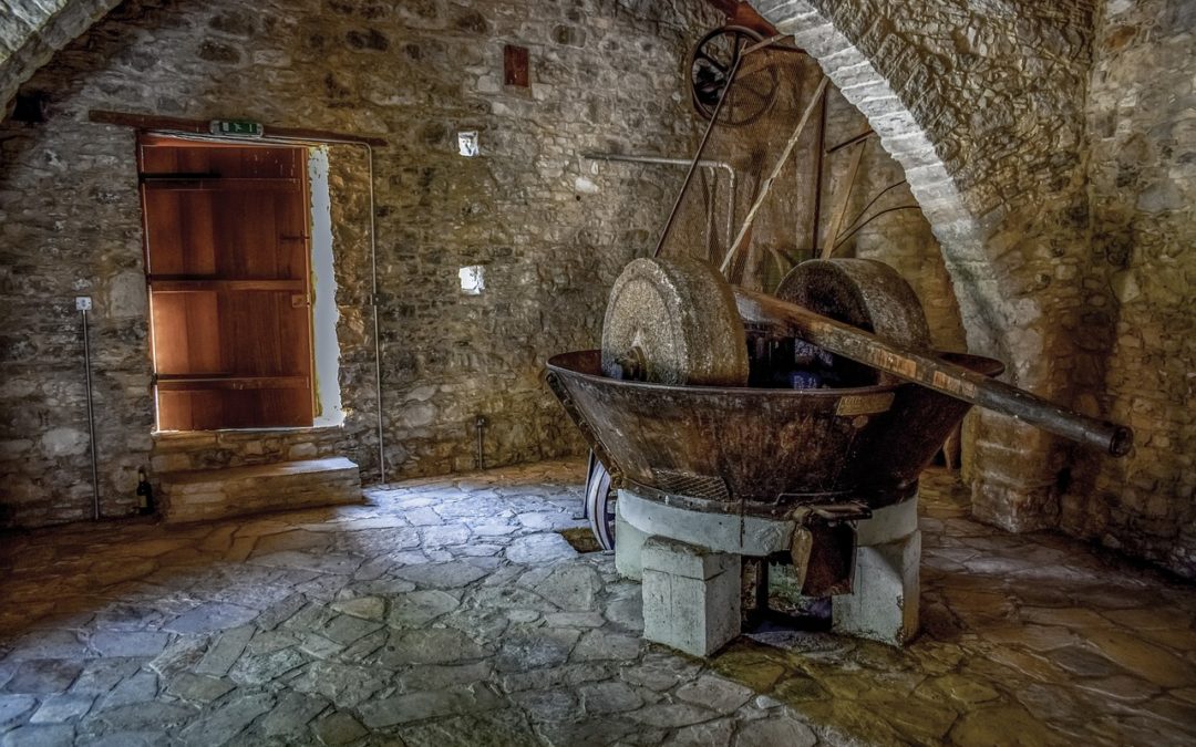 Olio di frantoio: 5 motivi per acquistarlo