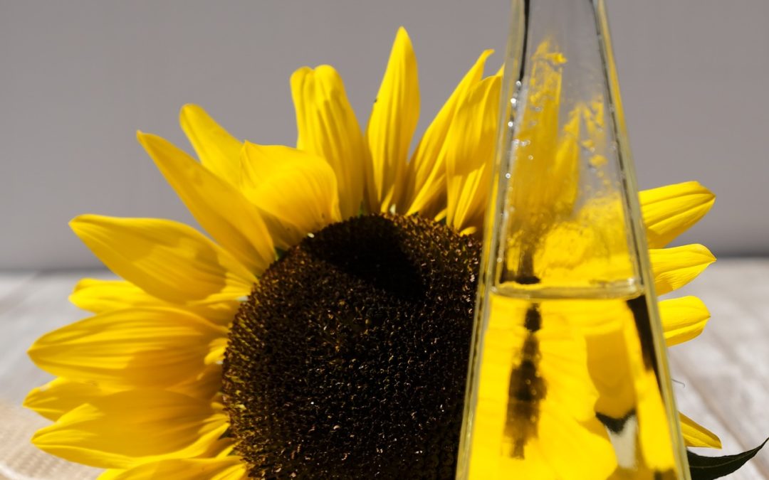 Olio d’oliva e oli di semi, quali sono le differenze?